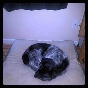 Meet your Posher, Cam